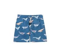 Lilax Boys Swim Trunks Toddler Bathing Suit Kids Swimsuit Boys Swim Shorts (Whale/Teal, 4 Years)