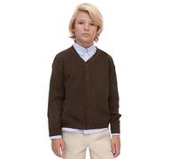 Lilax Little Boys Basic Long Sleeve V-Neck Classic Knit Cardigan Sweater 2 Years Brown