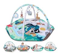 Lilian&Gema Baby Play Gym Mat, Baby Tummy Time Mat with 6 Detachable Sensory Toys, Baby Activity Play Mat for Stage-Based Sensory & Motor Skill Development, Baby Gift for Newborn Infant