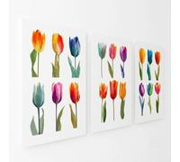 Lilian Jane 3 Tulip Wall Art Prints - Colourful Botanical Flowers on Premium Quality Card (350gsm Matte) Size A4 (21 × 29.7cm) - UNFRAMED