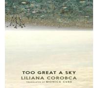 Liliana Corobca Too Great A Sky Paperback Book Liliana Corobca Multicolor