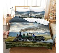 LILIlaobiao 3D Printed Steam Train Duvet Cover Comfortable Quilt Cover Set Microfiber Choochoo Pattern Bedding Set Full Size for for Kids & Adults Breathable Double（200x200cm）
