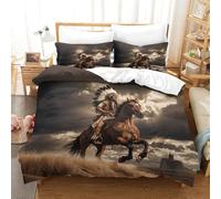 LILIlaobiao Washable Native American Quilt Cover With Hidden Zipper Duvet Cover Set with Pillowcases Soft Microfiber King（220x240cm） Mohican Knight Bedding Set for Kids & Adults