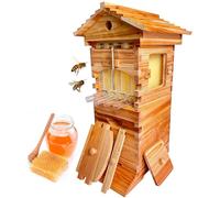 lilishangmao Transparent Viewing Window Beehive - Self-Flow Mini Beehive for Beginners, Small Wooden Beehive Starter Kit for Urban Beekeeping, Easy Honey Harvest & Colony Monitoring