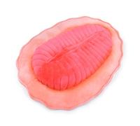 lilizzhoumax Dickinsonia Plush Toy 30cm/12inch Cute Realistic Stuffed Wild Ancient Creatures Deep Sea Animals Super Soft Home Decoration Perfect Playtime Companions Gift for Kids Boys Girls - Pink