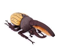 lilizzhoumax Hercules Beetle Plush Toy, 25 cm / 10 in, Realistic Stuffed Animal, Soft Wildlife Toy for Nature Display, Learning and Gift