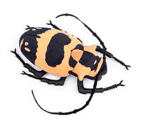 lilizzhoumax Longicorn Plush Toy 9.4inch Cute beetle insect Realistic Stuffed Animal Super Soft Collection Home Decoration Perfect Playtime Companions Birthday Party Gift for Kids Boys - orange