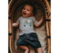 Lilly + Sid Boy's Applique Short Set - Car Cub | Size: 3-6 m Lilly + Sid Multicolor 3-6 m