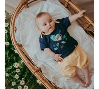 Lilly + Sid Boy's Bugs Jersey Short Set | Size: 3-6 m Lilly + Sid Multicolor 3-6 m