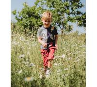 Lilly + Sid Boy's Lolly Board Shorts in Red | Size: 4-5 Years Lilly + Sid Red 4-5 Years