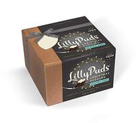 LillyPuds Luxury Gluten Free Christmas Pudding, naturally sweet with high fruit content and no mixed peel, made in The UK (454g - serves 3-4)