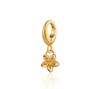 Lily Charmed Gold Plated Forget Me Not Flower Charm CGFMN - Modern Style | - 18ct Gold Plated / Sterling Silver