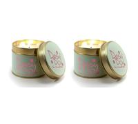 Lily-Flame Daisy Dip Tin, White (Pack of 2)