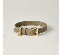 Lily & Leo Leather Flat Dog Collar - Sage - Size: Large