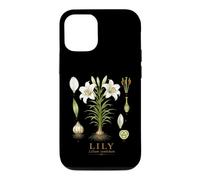 Lily Lilium candidum Vintage Botanical Flower Anatomy Study Case for iPhone 12/12 Pro
