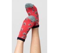 Lily & Me Women's Claudia Super Soft Bamboo Trainer Socks | Size: 4-8 Lily & Me Multicolor 4-8