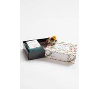 Lily & Me Women's Wallace The Walrus Bamboo Socks & Decoration Giftbox | Size: 4-7 Lily & Me Multicolor 4-7