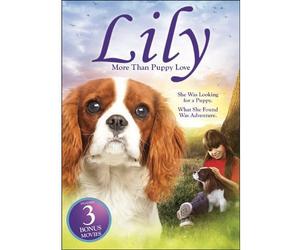 Lily: More Than Puppy Love [DVD] [Region 1] [US Import] [NTSC]