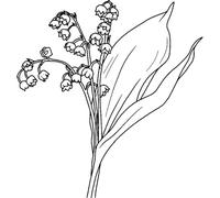'Lily of The Valley' Rubber Stamp - Unmounted Design for Crafting & Scrapbooking, A8 (RS00048062)