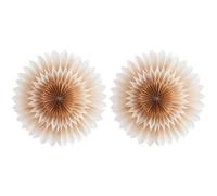 Lily Paper Star Golden Beige Set of 2