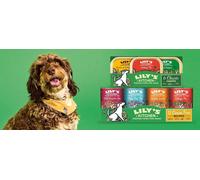 Lily’s Kitchen Adult Wet Dog Meals Grain-Free Assorted Recipes 12 × 400g Cans