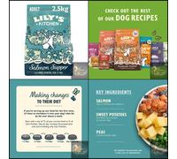 Lily’s Kitchen Made with Natural Ingredients Adult Dry Dog Food Salmon Supper