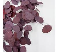 LilyDECO dried eucalyptus leaves,dried eucalyptus stems Natural Dried Apple Leaf Preserved Eucalyptus Leaves Nordic Home Decor Eternal Real Plant Wedding Party Garden Decoration (Red)