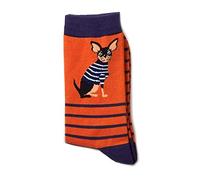 LilyRosa Mens Chihuahua Dog Print Socks Gents 6-11 Blue Grey Orange Bamboo 1 Pair (Orange)