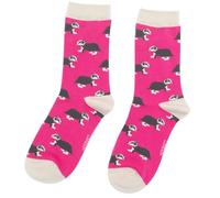 LilyRosa Womens Badger Socks 3-7 Girls Ladies 1 Pair (Pink)