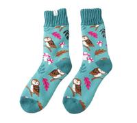 LilyRosa Women's Winter Socks Girls Ladies 3-7 Women MIss Sparrow Novelty Ankle Socks Adult (Owl Duck Egg Blue)