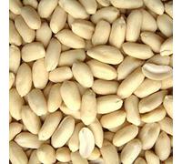 Lily's Indian Vegetarian Cuisine, Blanched Peanuts, 1kg
