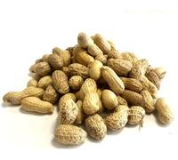 Lily's Indian Vegetarian Cuisine Present Roasted Peanuts, Roasted Monkey Nuts, Peanuts in Shell Healthy Party Snacks,Great Seasonal Gift 300g Pack of 1 (300 Gm)