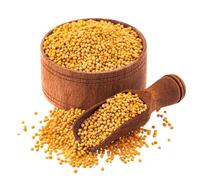 Lily's Indian Vegetarian Cuisine Present Yellow Mustard Seeds in 500 Gram Pack of 1 (Pack of 2, 500, gram)