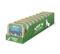 Lily's Kitchen Adult Wet Dog Food Tray Fishy Fish Pie 150g x 10