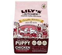 Lily's Kitchen Chicken and Salmon Puppy Recipe - 1kg