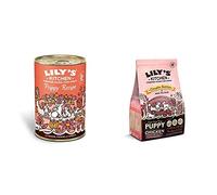 Lily's Kitchen Puppy Wet & Dry Food Bundle Chicken and Salmon (1kg and 6x400g)