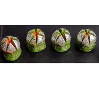 Lilys Special Kaju Komal Made With Cashew nuts, Pistachio nuts and Almonds & Approximent Weight for four pieces 200g