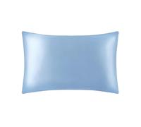 LILYSILK 100% Mulberry Silk Pillowcase 19MM Both Side Silk Hypoallergenic Breathable Housewife Pillow Cover with Envelope Closure for Hair and Skin(Ice Blue,Standard 50x75cm)