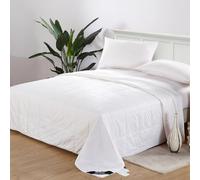 LilySilk 100% Silk Duvet All Season Machine Washable Long Strand Silk Quilt