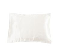 Lilysilk 3101-01-33x46 100% Mulberry Silk Travel Pillowcase, 13 x 18, Ivory