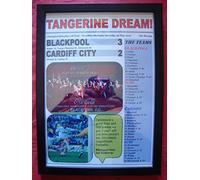 Lilywhite Multimedia Blackpool 3 Cardiff City 2 - 2010 Championsip play-off final - framed print