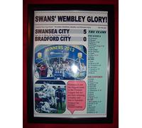 Lilywhite Multimedia Swansea City 5 Bradford City 0-2013 Capital One Cup final - framed print