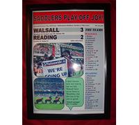 Lilywhite Multimedia Walsall 3 Reading 2-2001 Second Division play-off final - framed print