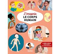 L'imagerie - Le corps humain