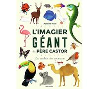 L'Imagier géant du Père Castor: La couleur des animaux