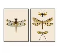 LIMAIDUO Vintage Dragonfly Wall Art Canvas Natural History Insect Prints Butterfly Picture Decor(40x60cmx2/Frameless)