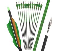 limaity 30 Inch Carbon Arrow with 4-inch Turkey Feathers Spine 300/400/500/600/700/800 Archery Targeting Hunting Arrows for Compound & Recurve & Long Bow (6PCS,Spine500,2 green 1 brown)