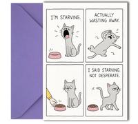 LimaLima Cat Birthday Card Funny Comic - Birthday Card for Cat Lovers & Friends - Cat Birthday Cards for Women & Men - Rude Black Cat Birthday Card - A5 with Envelope