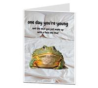 LimaLima Funny Birthday Card For Hi Men Humorous Frog Design For All Male Adult Dad Brother Son Nephew