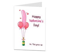 LimaLima Funny Valentines Day Card Rude No You Grow Up Design Perfect For Husband Wife Boyfriend Girlfriend